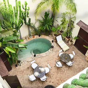 Les Ammonites And 4*, Marrakesh Marokko